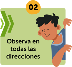Logo Segundo paso de protegete