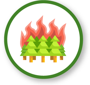 Icono Incendios Forestales