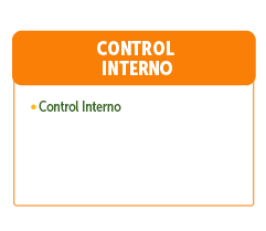 Item Control Interno