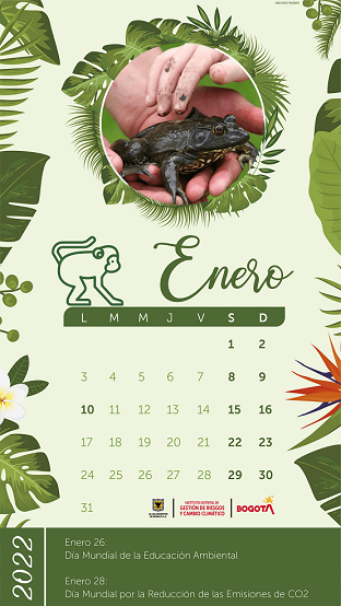Calendario actividades Enero 2022