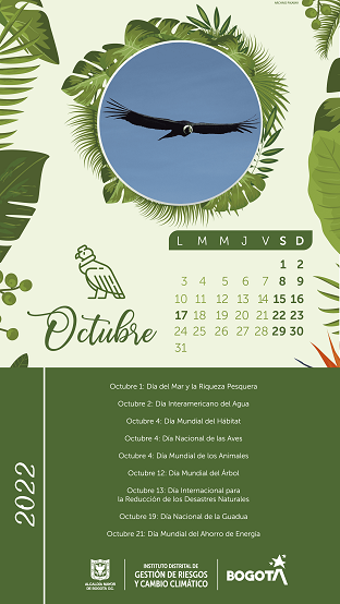 Calendario actividades Octubre 2022