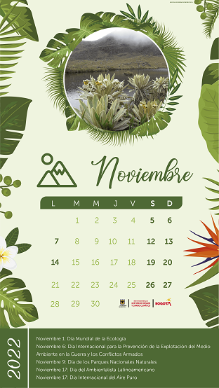 Calendario actividades Noviembre 2022