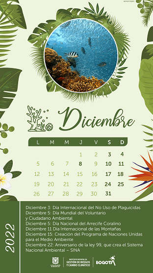 Calendario actividades Diciembre 2022