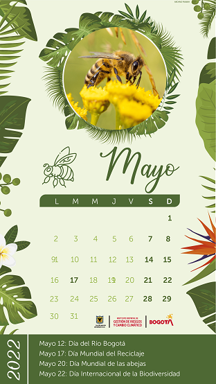 Calendario actividades Mayo 2022