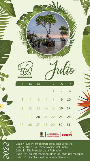 Calendario actividades Julio 2022