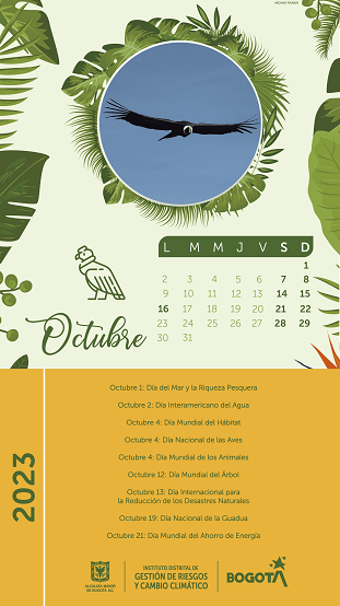Calendario actividades Octubre 2023