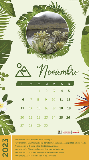 Calendario actividades Noviembre 2023