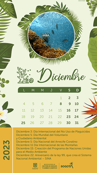 Calendario actividades Diciembre 2023