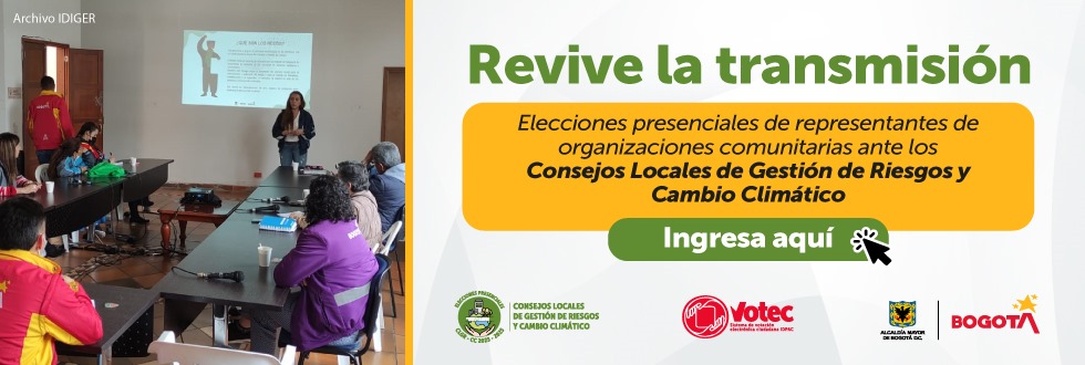 Elección consejos locales