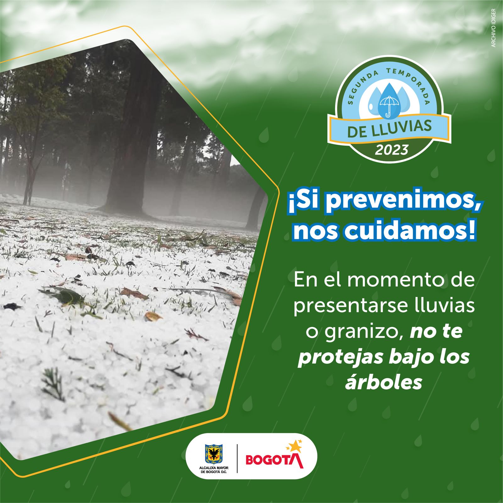 Granizo sobre un prado 