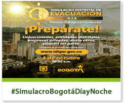 Simulacro Distrital 2023