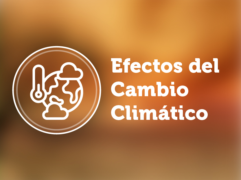 Efectos Cambio Climatico