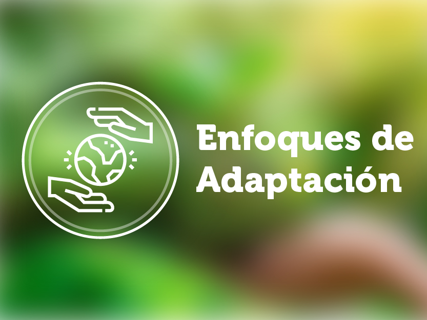 Enfoques de Adaptacion