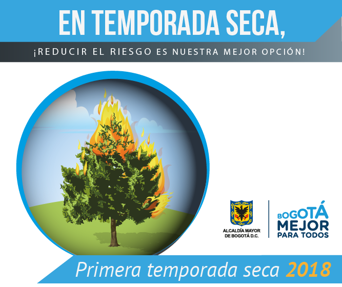 Piezas gráficas Primera Temporada Seca 2018