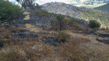 incendio en montaña