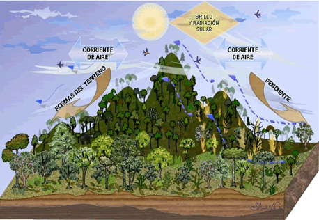 Imagen montañas y arboles y subsuelo