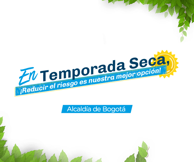 Piezas gráficas Primera Temporada Seca 2019