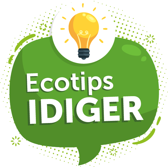 Iemagen Logo EcoIDIGER