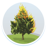 Icono Incendios Forestales