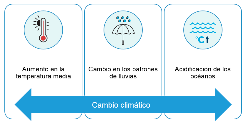  Cambio climático global y algunos efectos (observados y esperados)