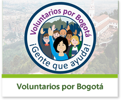 Piezas voluntarios por Bogotá año 2019