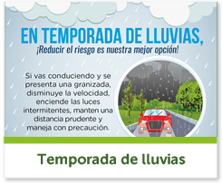 Piezas temporada de Lluvias año 2018