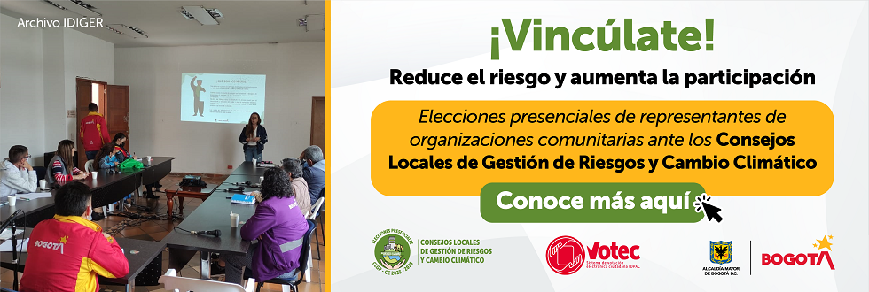 Eleccion consejos locales